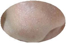 小鼻のまわりにファンデがたまって汚い 毛穴落ちさせない究極の方法 Wakuwakulife